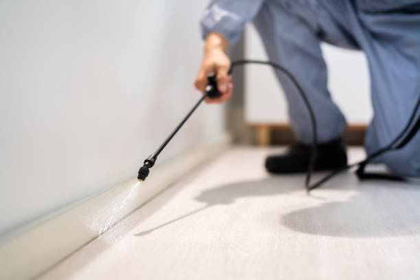 Licensed Termite Control service in West Van Lear, KY - Nex Pest Control
