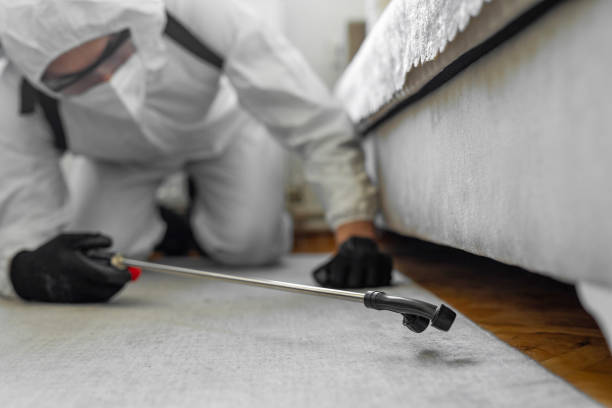 Professional Termite Control technician working in West Van Lear, KY