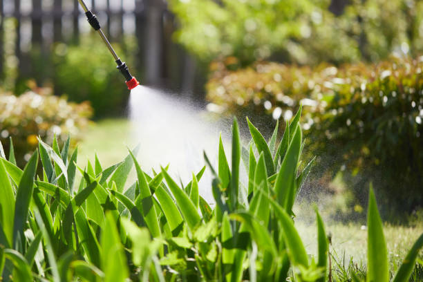 24/7 Emergency Termite Control experts in West Van Lear, KY