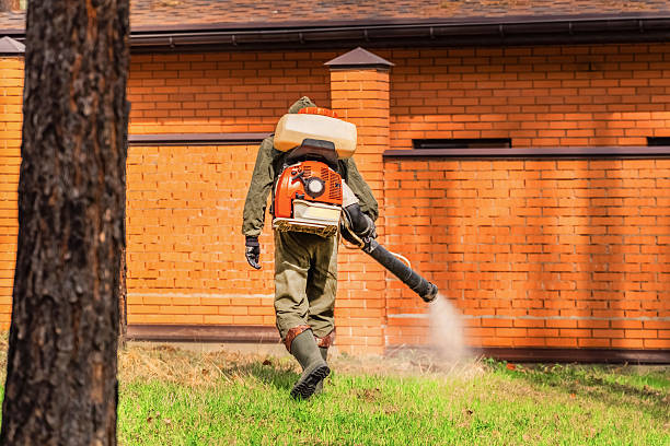Top rated local Termite Control specialists in West Van Lear, KY
